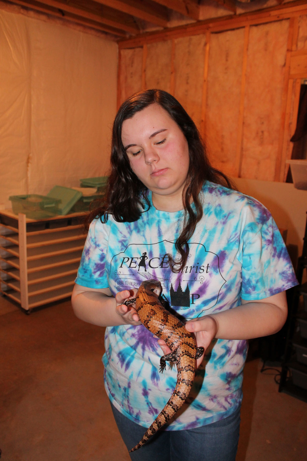Reptiles